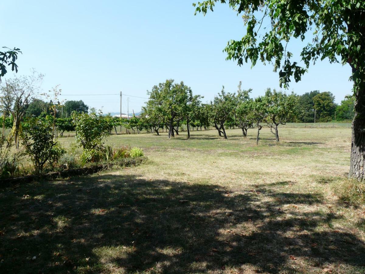 Villino Margherita Bed & Breakfast San Lazzaro di Savena