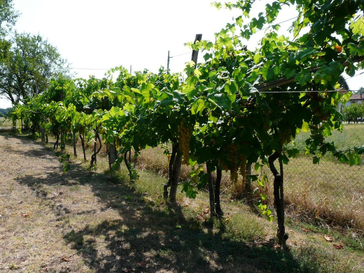 Villino Margherita San Lazzaro di Savena